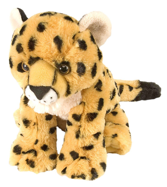 soft and wild animal heads