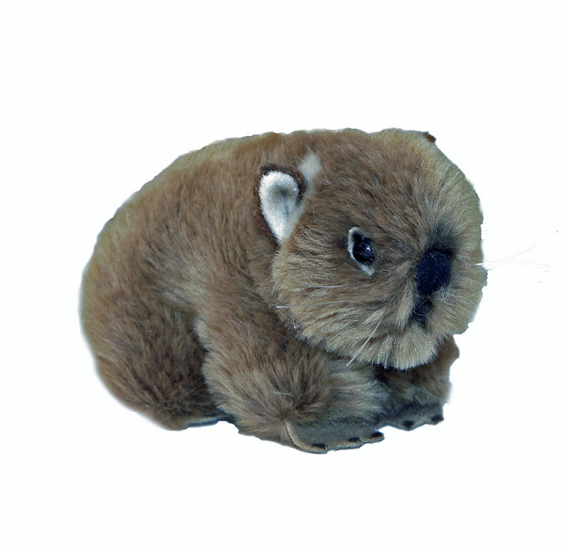 wombat stuffed animal