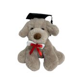 Rocky Graduation Dog - Elka