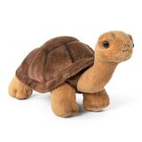 Tortoise Plush Toy - Living Nature