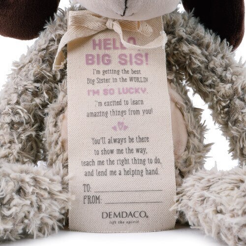 big sister teddy bear gift