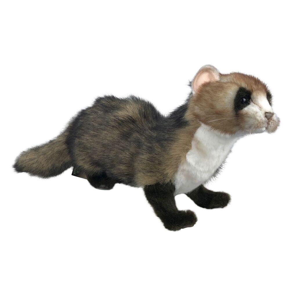 ferret soft toy
