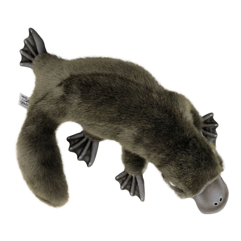 platypus toy