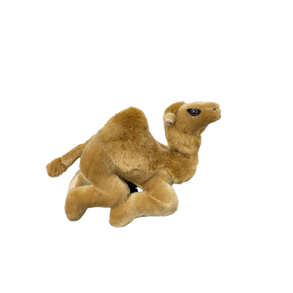 Plush camel sales
