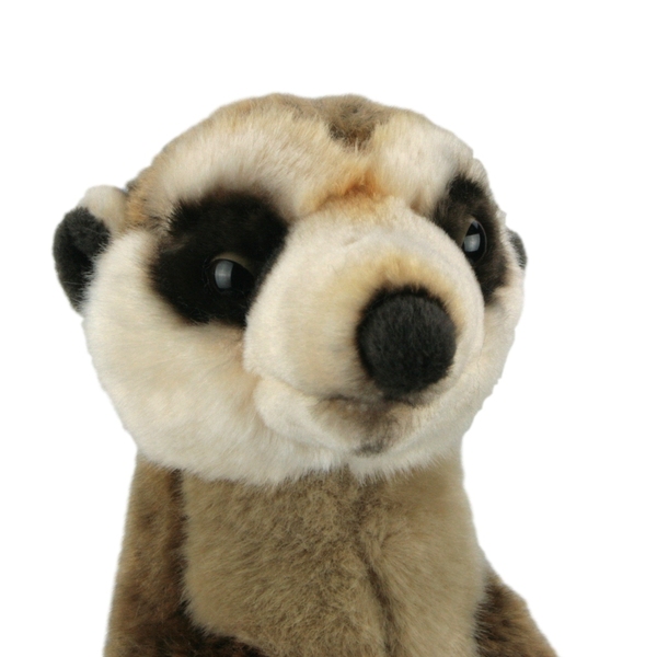 giant meerkat teddy