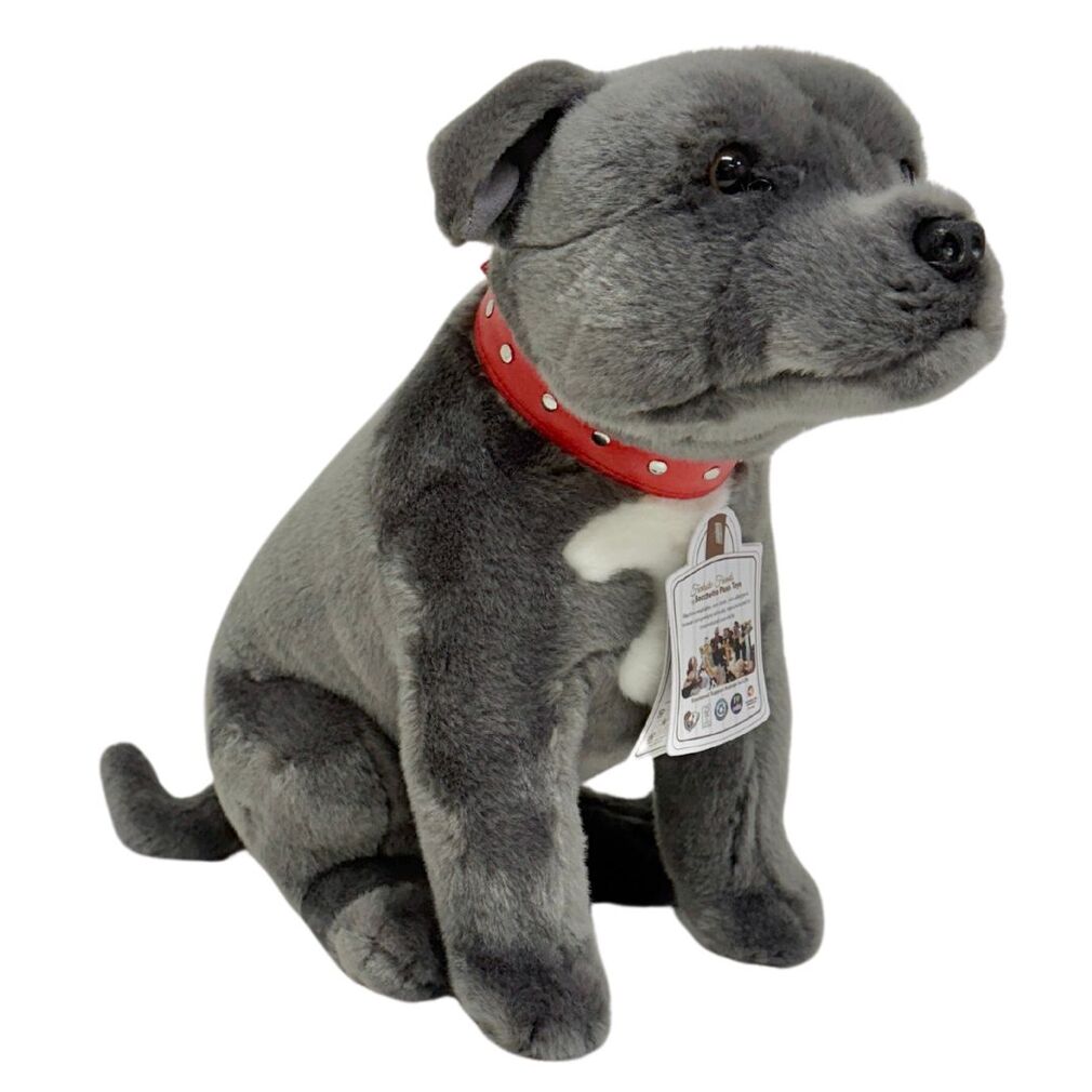 staffy teddy