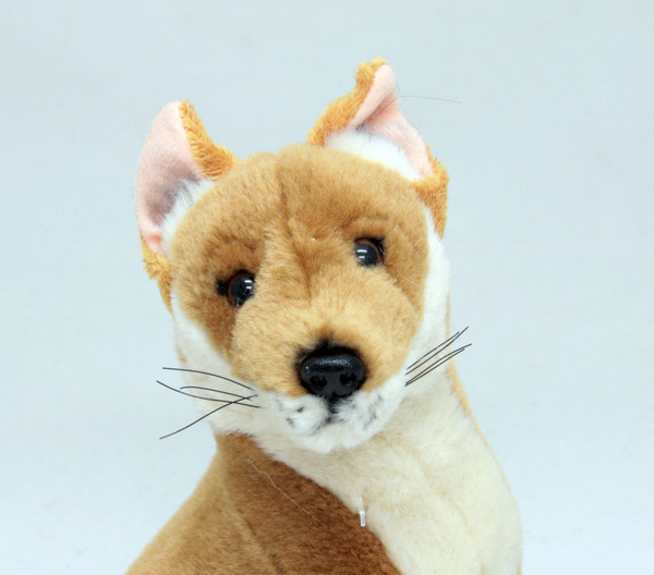 dingo plush toy