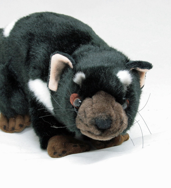 tasmanian devil doll