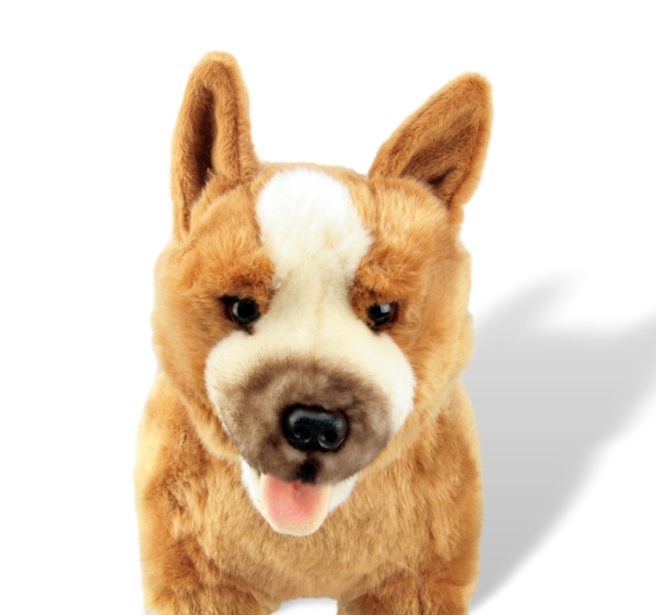 cattle dog plush toy