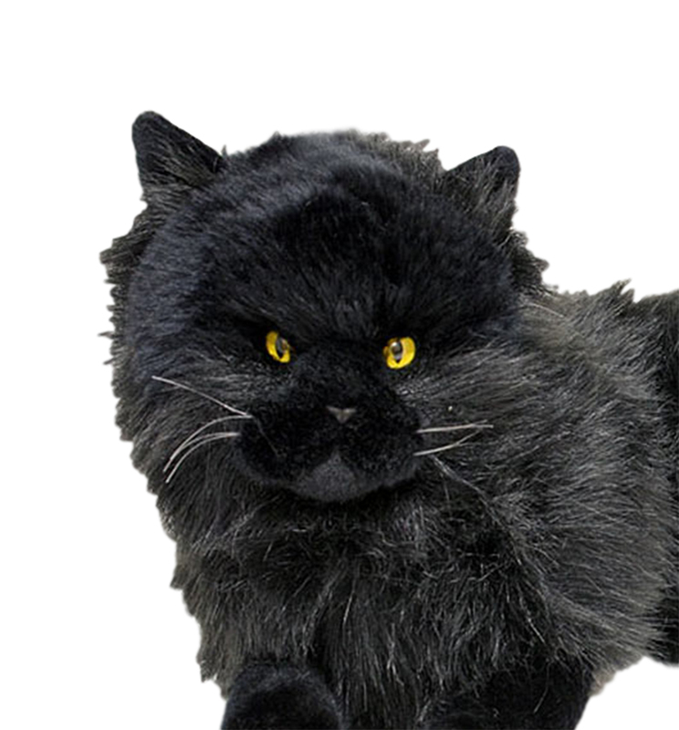 black cat teddy bear