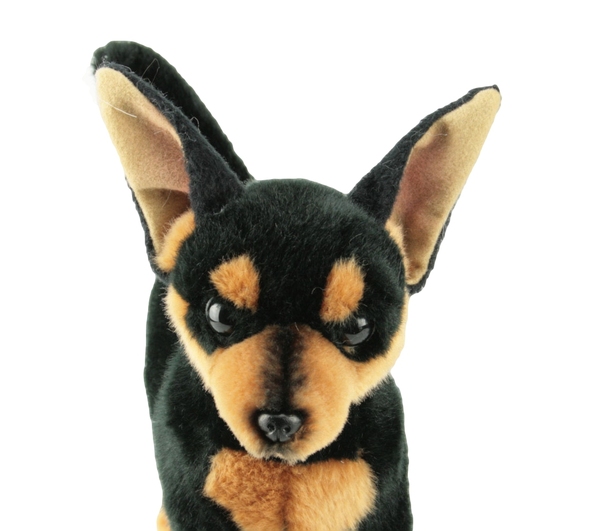 chihuahua soft toys