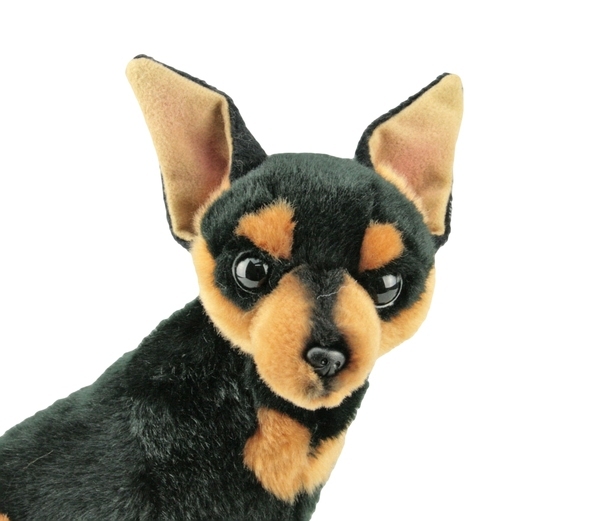 AMOBESTER stuffed chihuahua dog puppy toy realistic stuffed