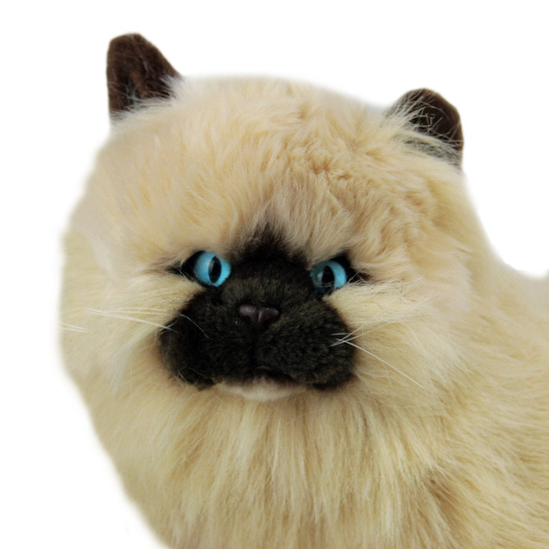 soft toy kitten