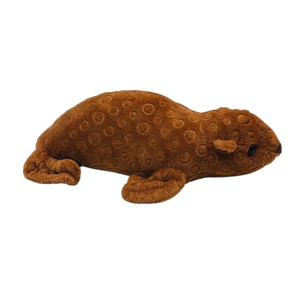 tiny teddy bear price