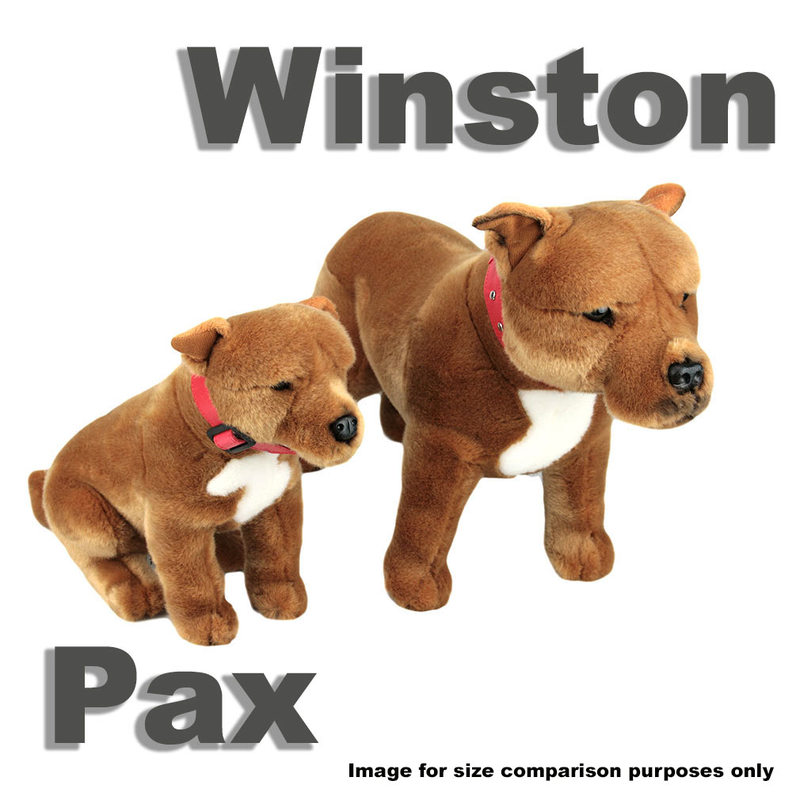 best toys for staffy