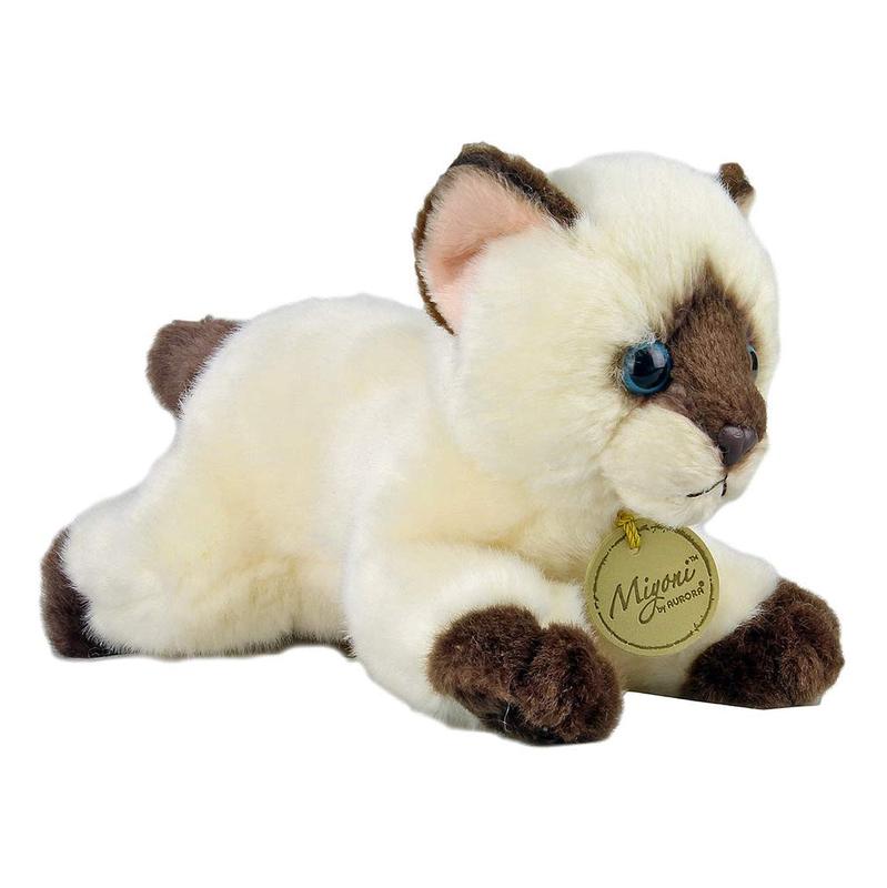 miyoni cat