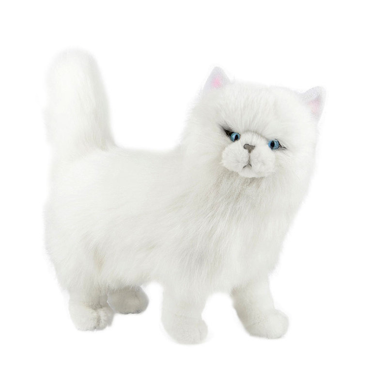 plush persian cat