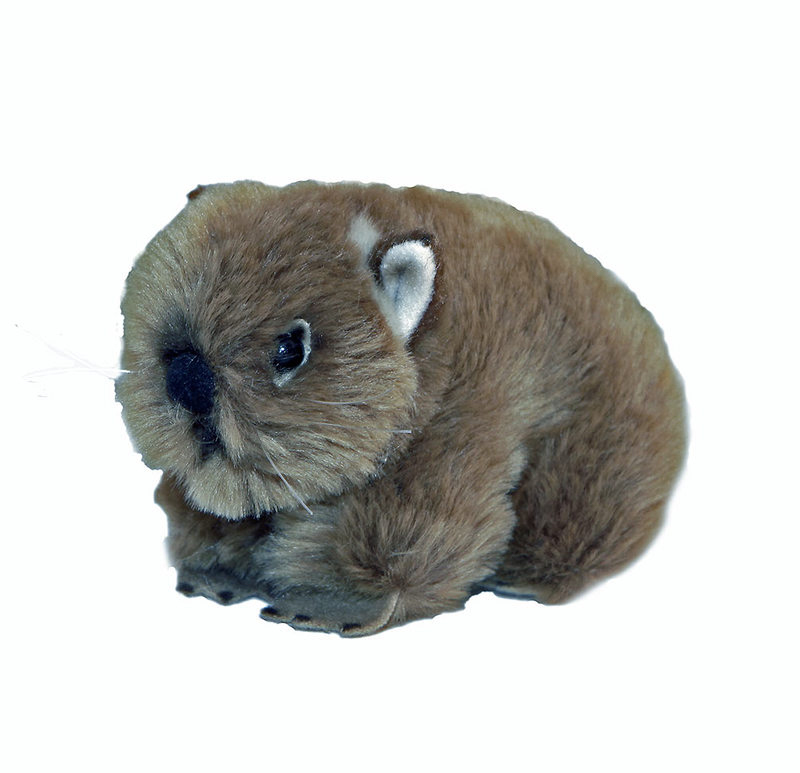 wombat stuffed animal