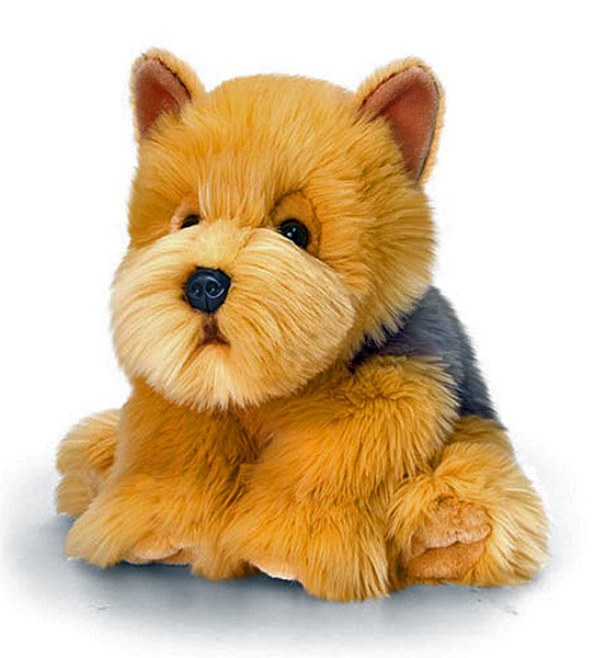 plush terrier dog