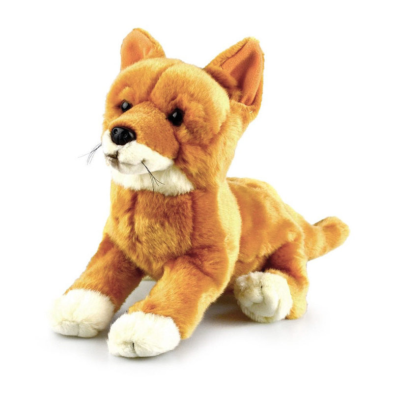 dingo plush