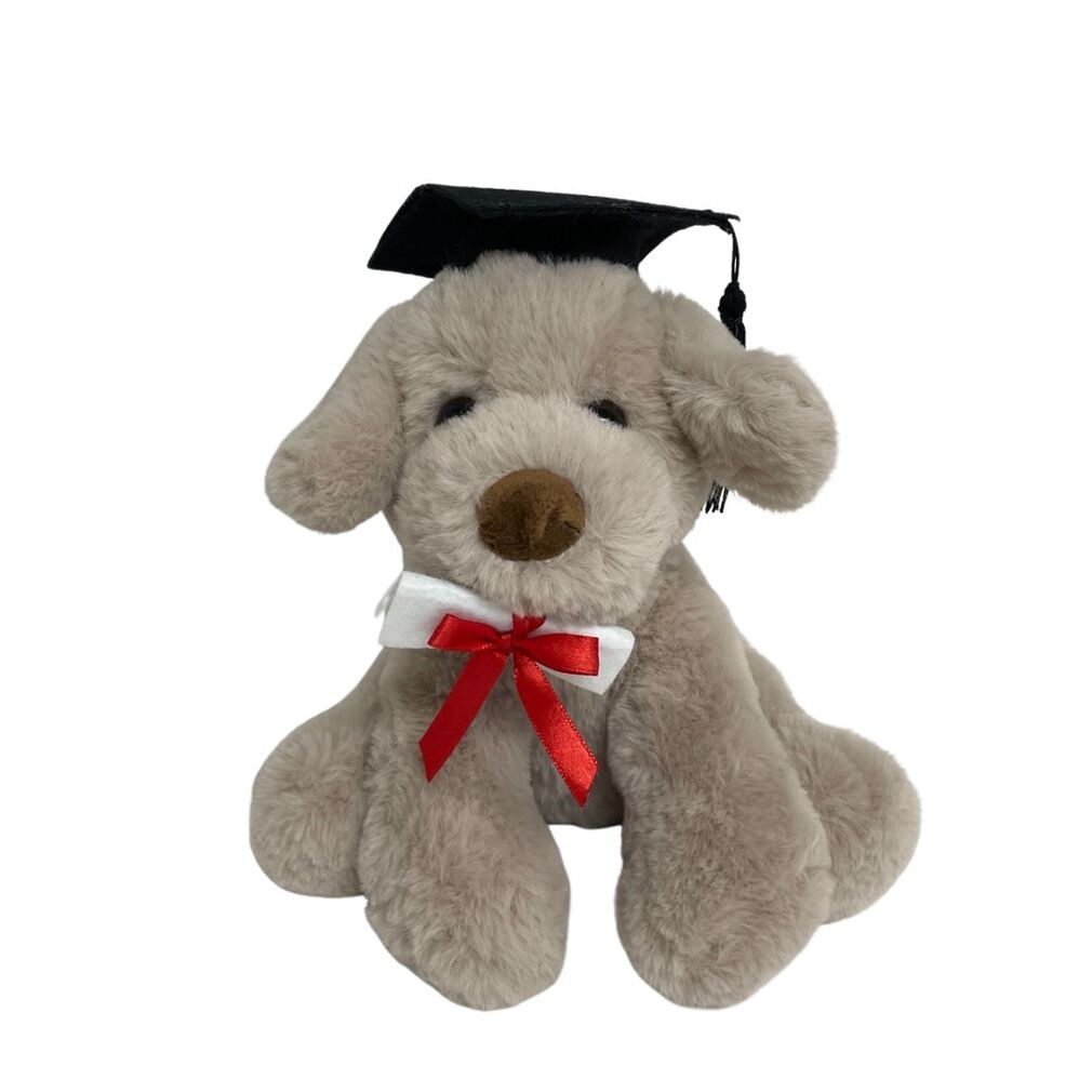 Rocky Graduation Dog - Elka