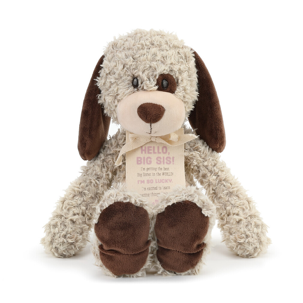 big sister teddy bear gift