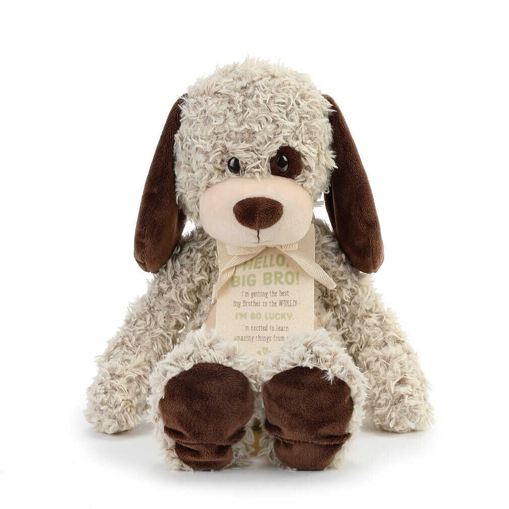 big brother little brother teddy bear