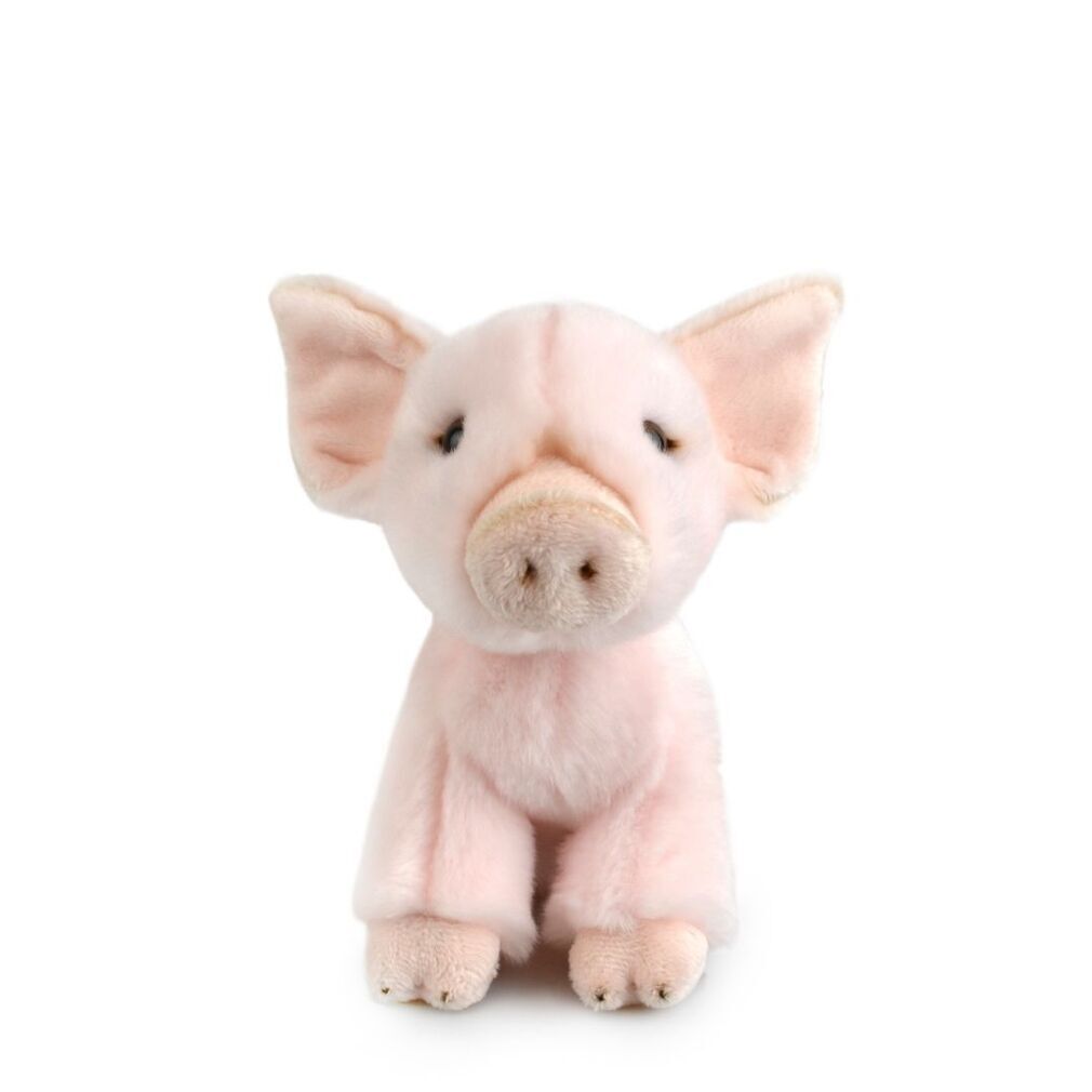 Pig Soft Toy