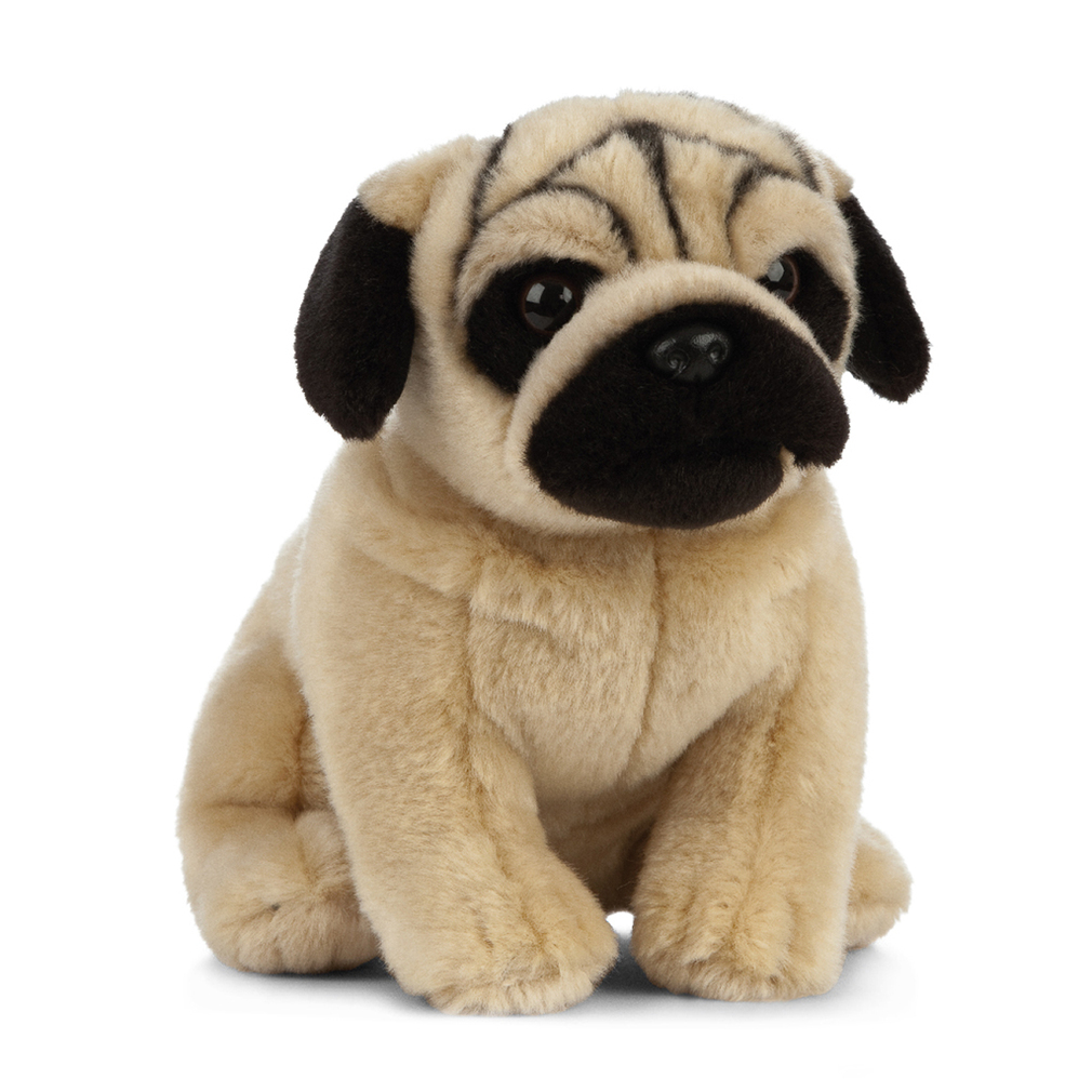 Pug Dog Plush Toy  - Living Nature
