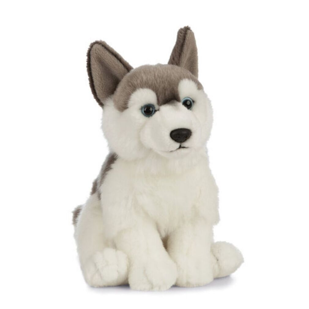 Husky Dog Plush Toy  - Living Nature