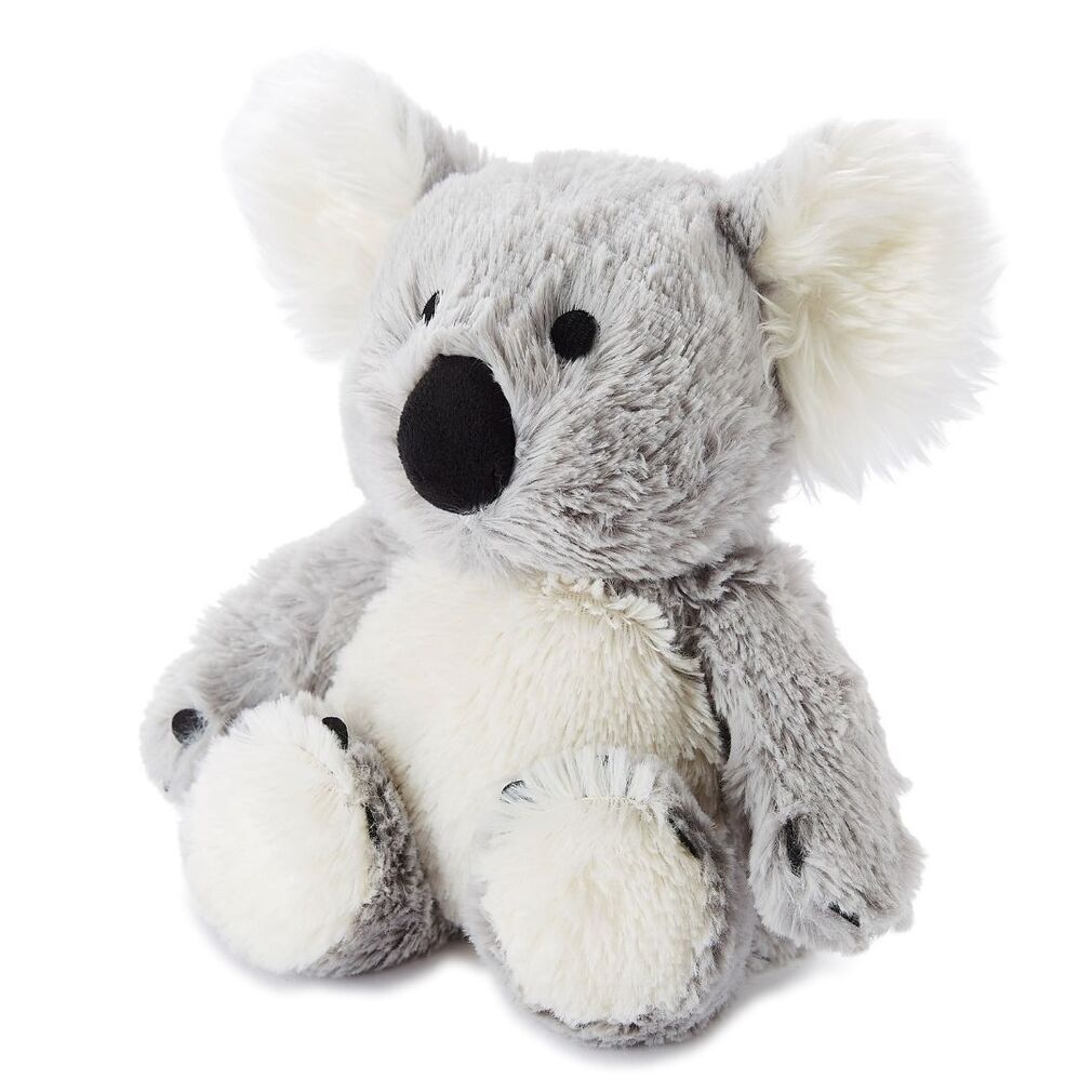 Koala Microwaveable/Chiller Soft Toy - Cozy Plush