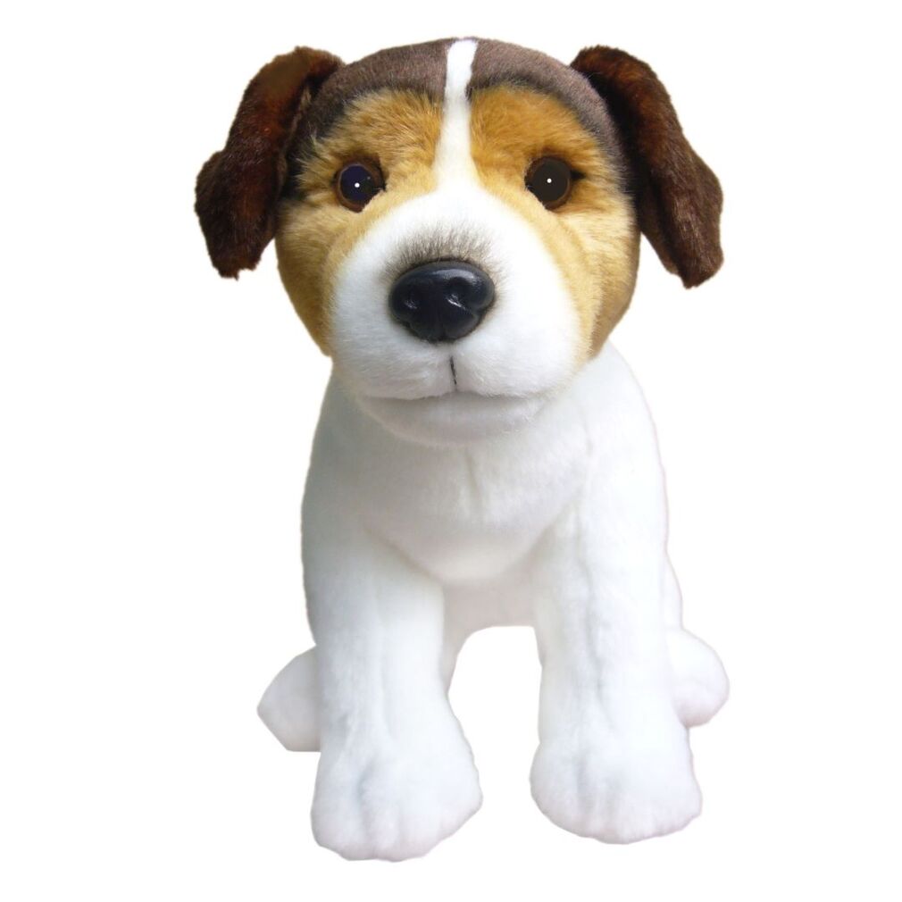 Jack Russell Terrier Tri colour - Faithful Friends