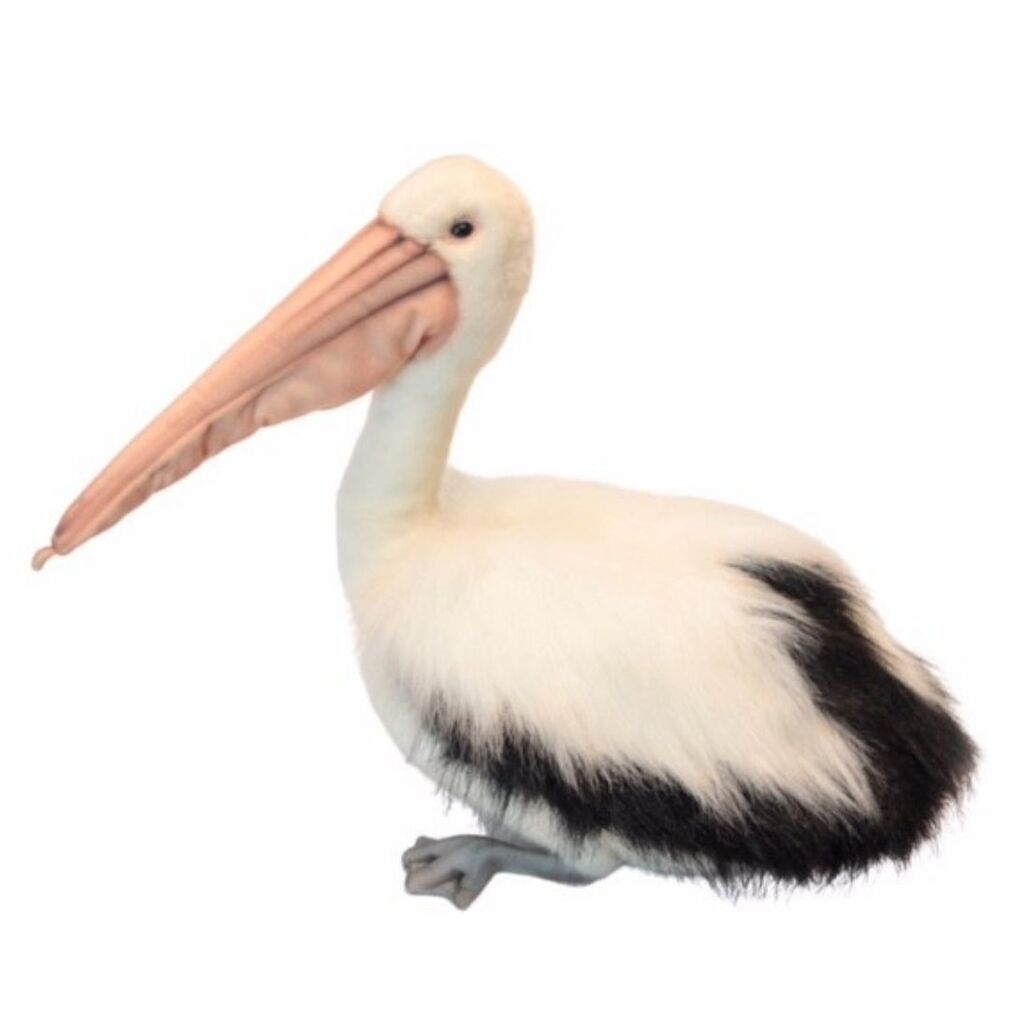 Pelican soft toy new arrivals