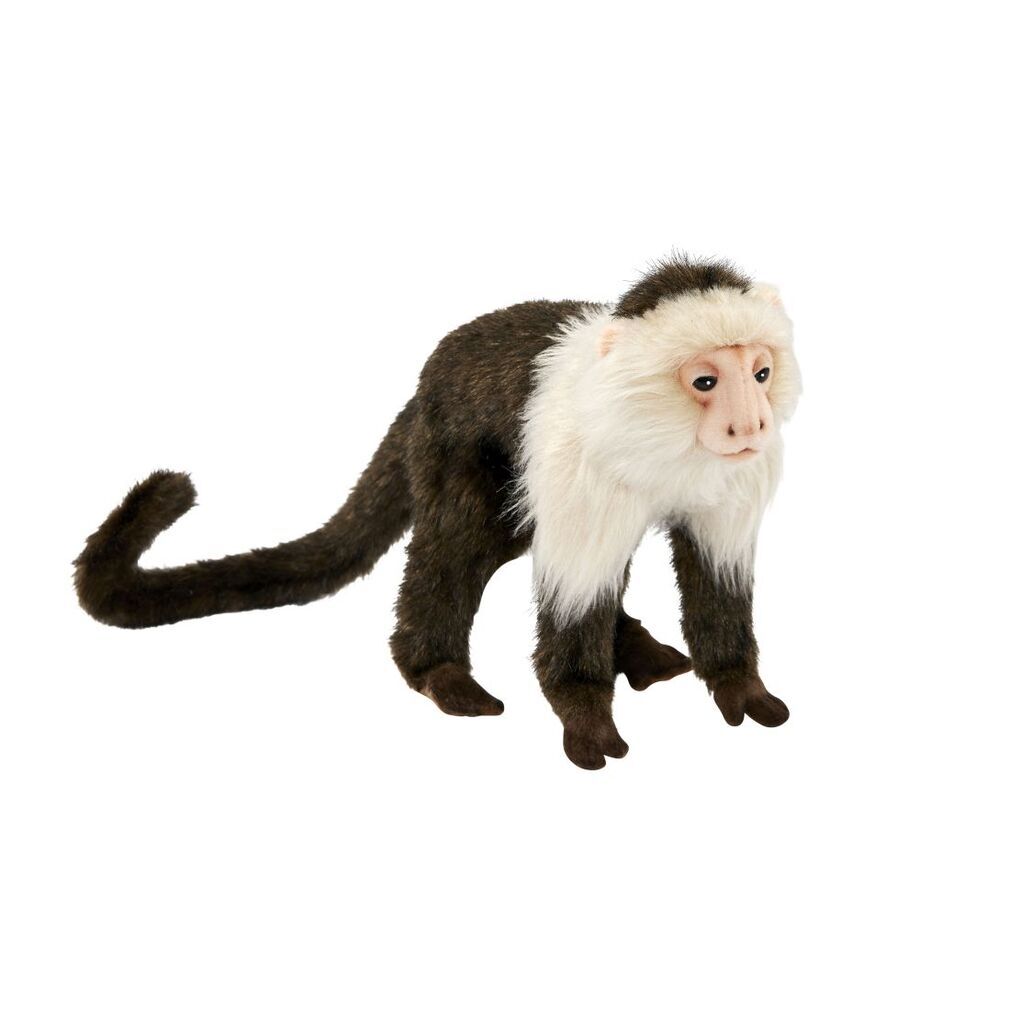 Capuchin Monkey Soft Toy - Hansa