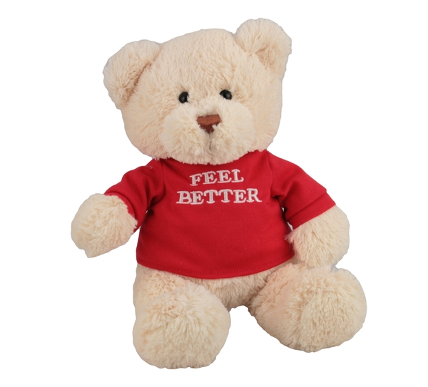 gund get well bear