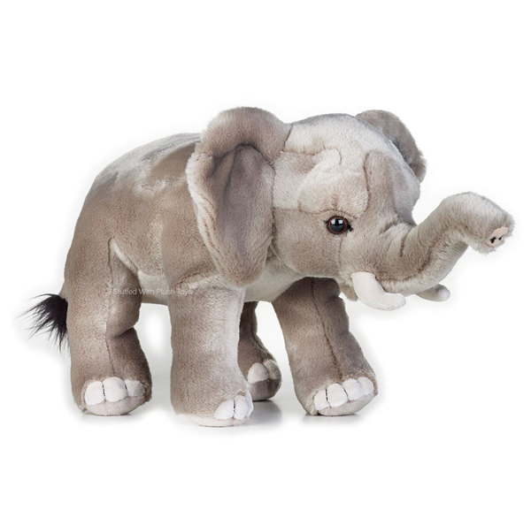 african grey plush