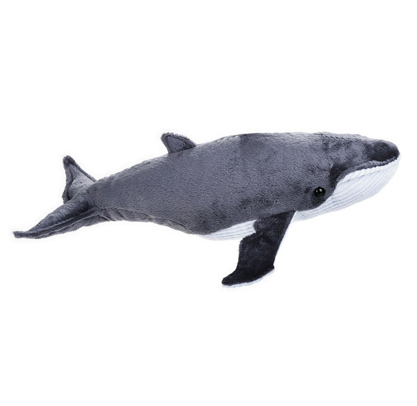 stuffed humpback whale