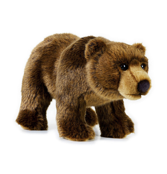 Grizzly Bear Plush and Soft Toy Stuffed Animal |Medium|National Geographic
