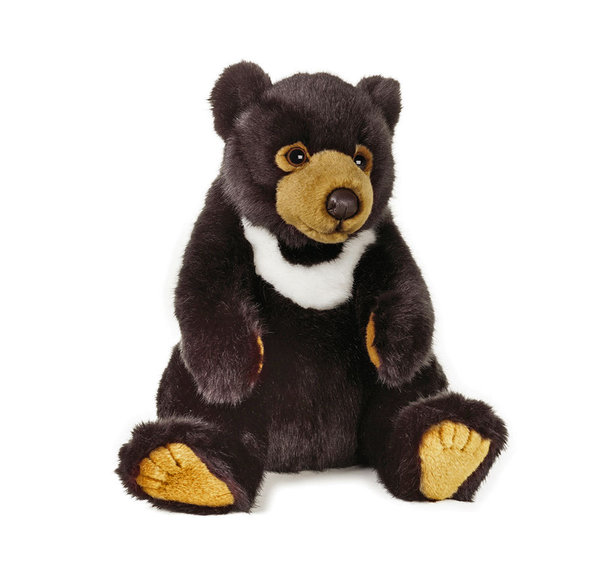 national geographic black bear plush