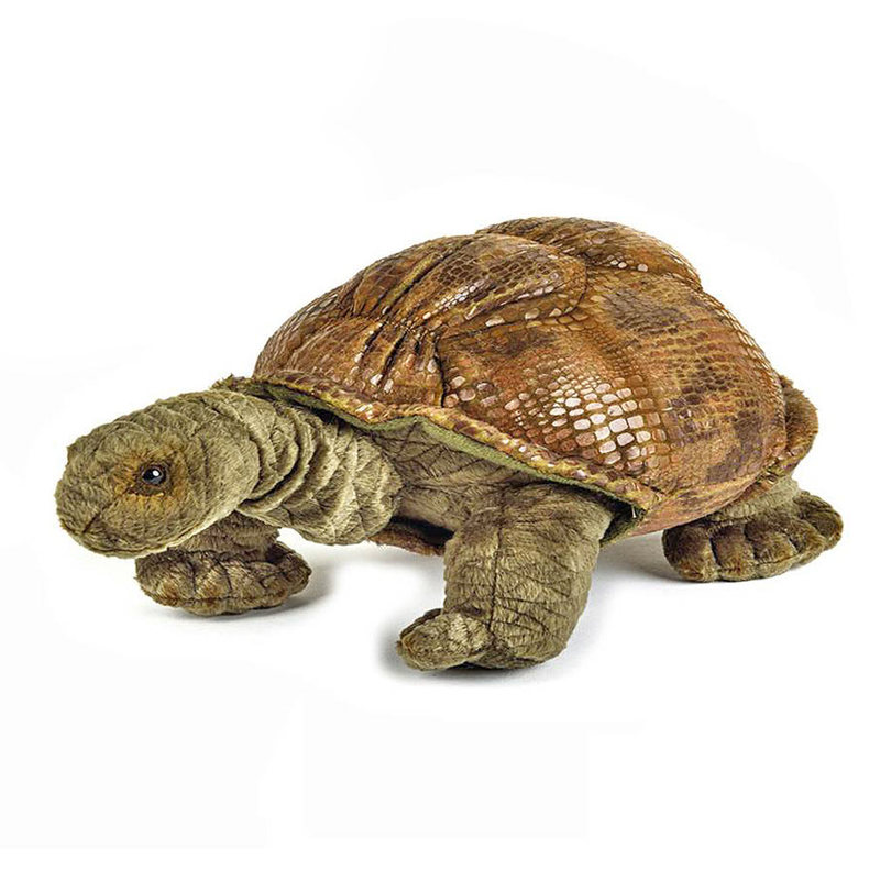 stuffed tortoise