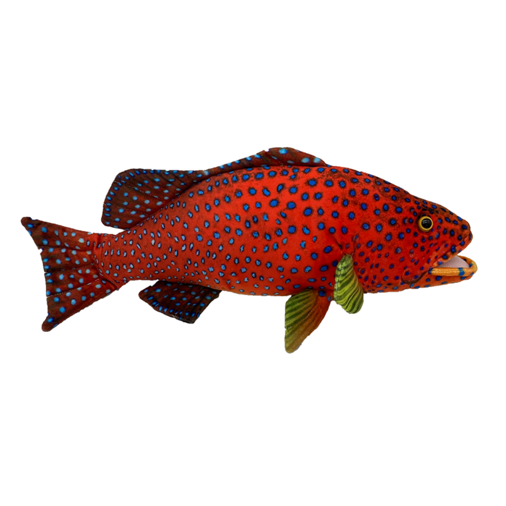 Corine Coral Trout Fish Plush Toy - Huggable
