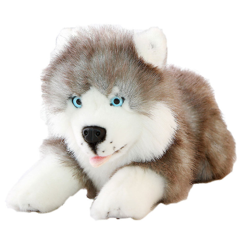 stuffed toy husky dog