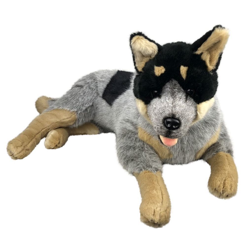 blue heeler plush toy