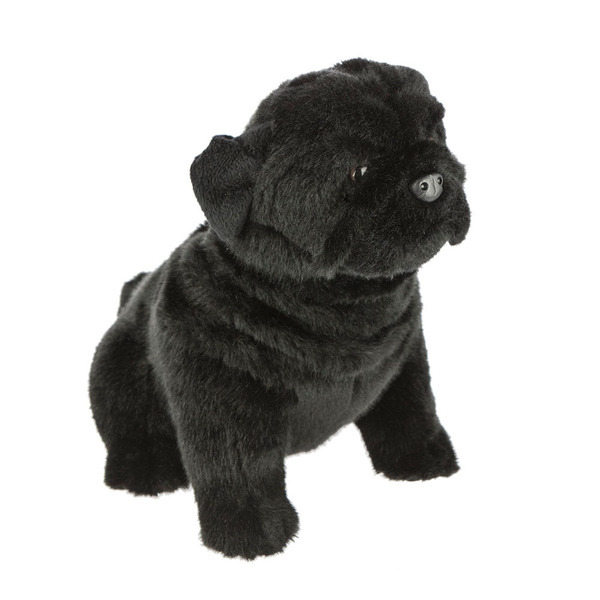 pug teddy