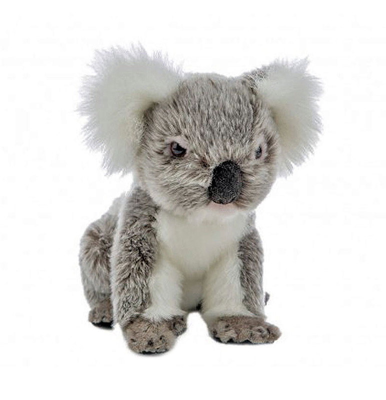 Petal the Koala Plush Toy - Bocchetta