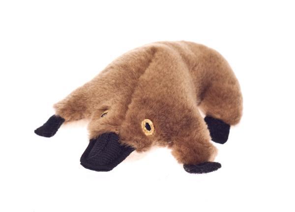 stuffed toy platypus