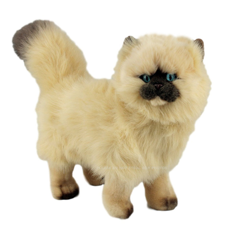 Himalayan Cat soft plush toyPrimrose30cmstuffed animal  Bocchetta Plush Toys