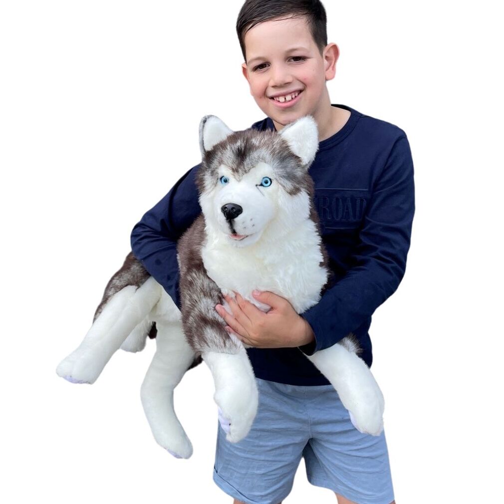Husky Dog ROCCO Extra Large stuffed toy by Bocchetta
