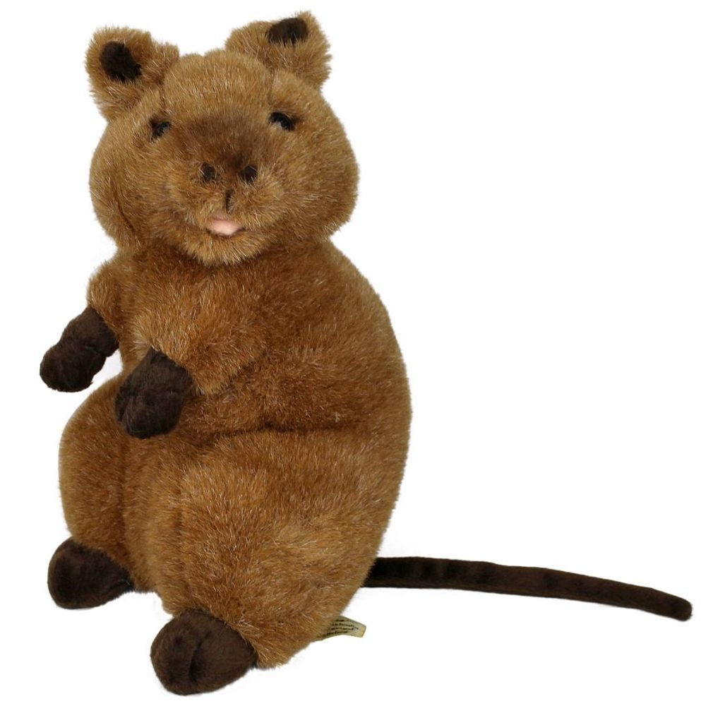 quokka doll