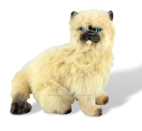 Himalayan Cat Kitten|Stuffed Animal Plush Toy| Sitting Medium|Toffee|  Bocchetta Plush